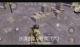 内鬼沙漠爆料视频大全集,揭秘神秘内幕